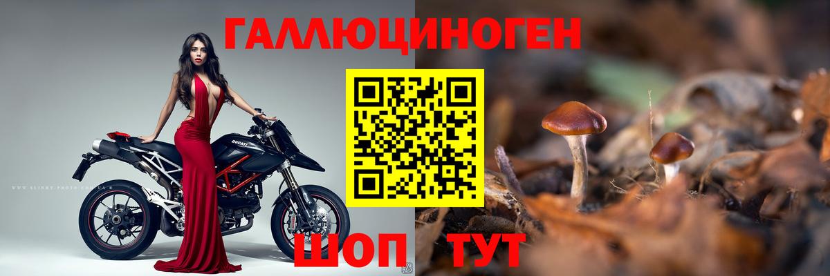 Галлюциногенные грибы прущие грибы  Вход с VPN  Буйнакск 